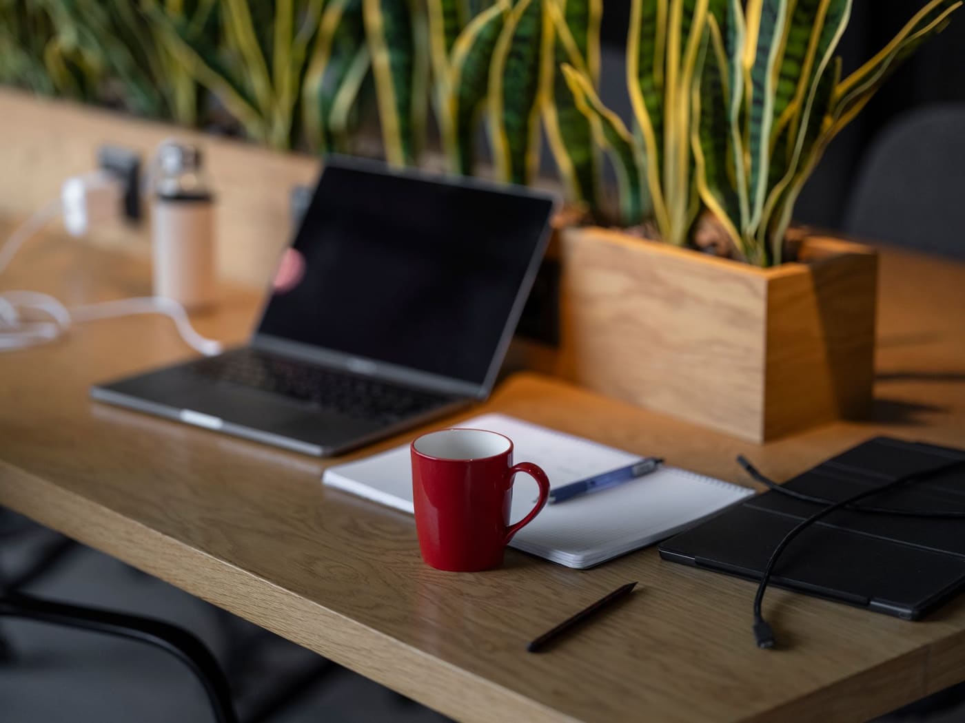 A laptop, notebook and red mug on a wooden desk beside a planter